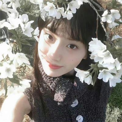狐狸猎手